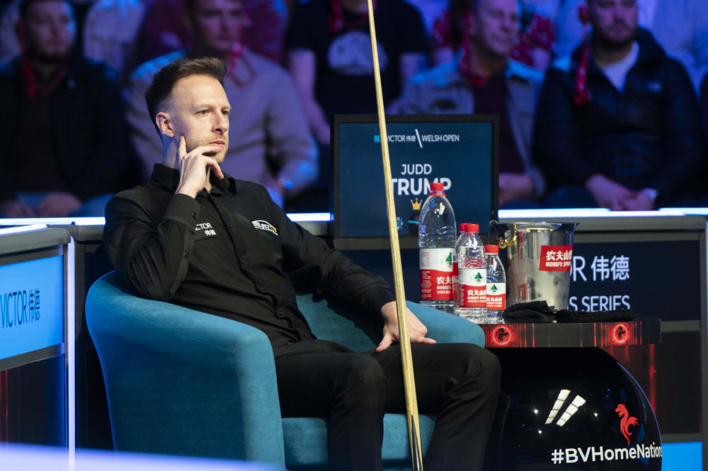 帮助野马捧 帮助野马捧