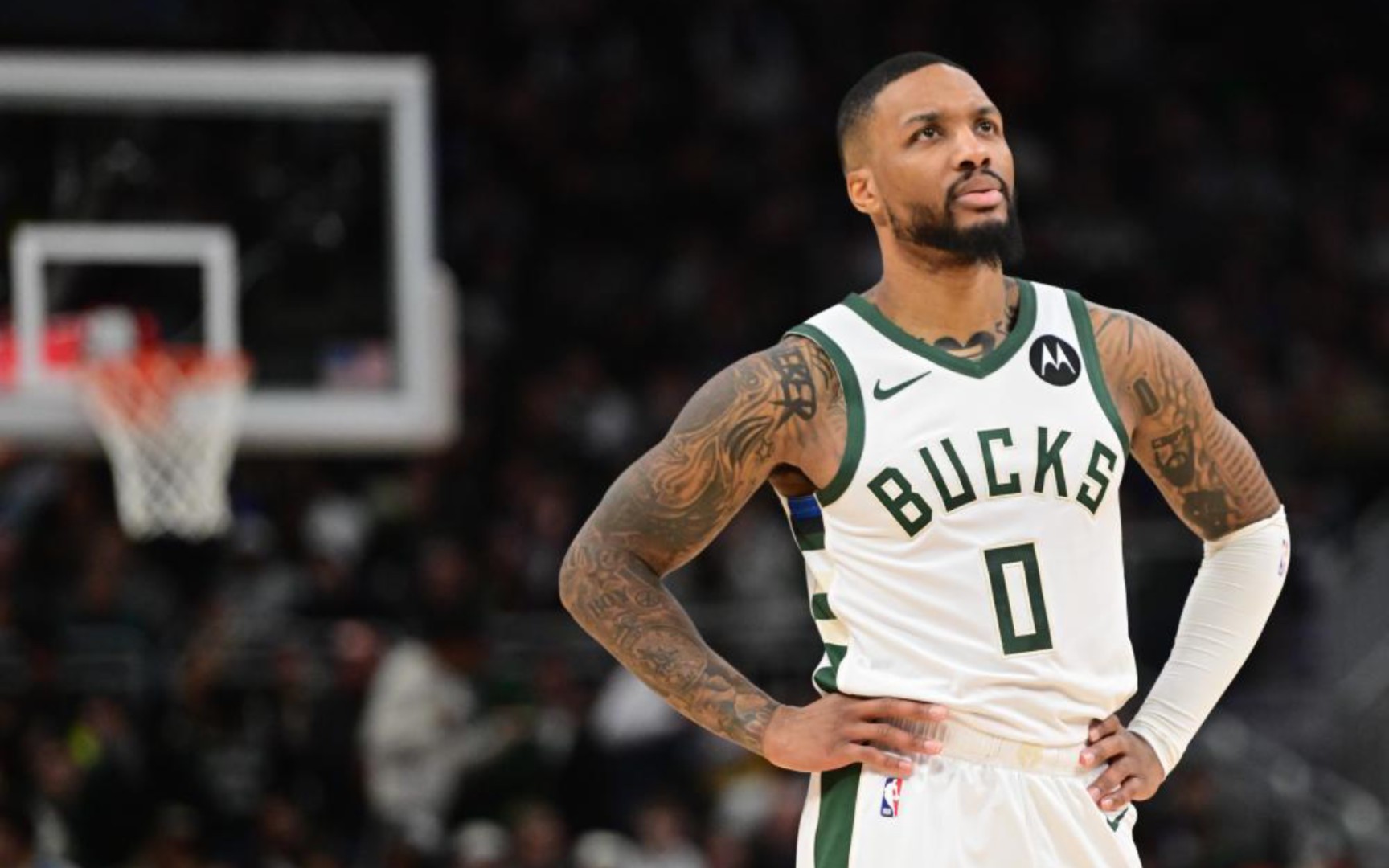 广泛的讨论 广泛的讨论